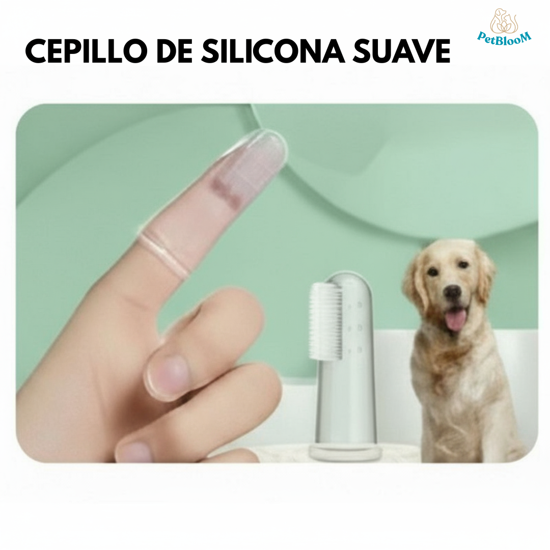 Kit - PetBloom ®