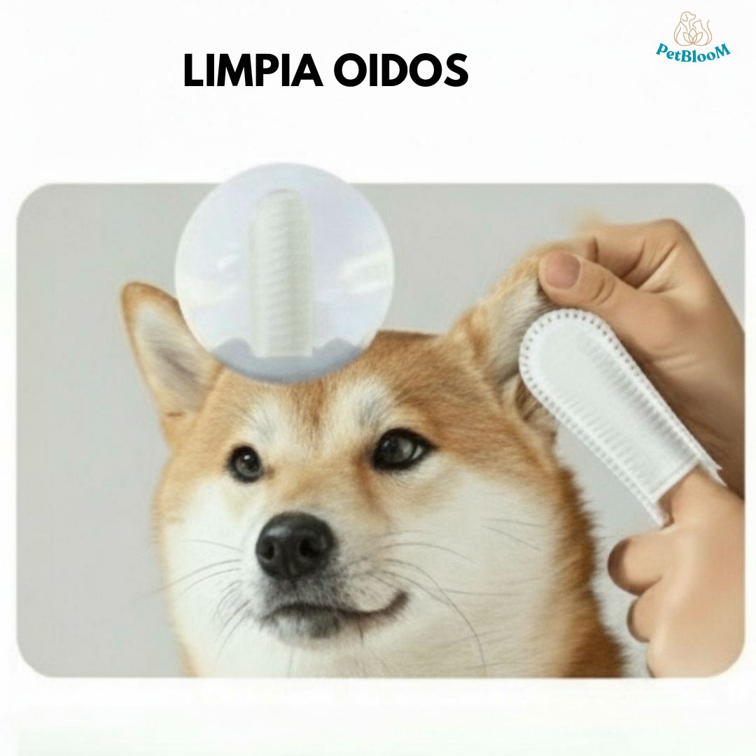 Kit - PetBloom ®