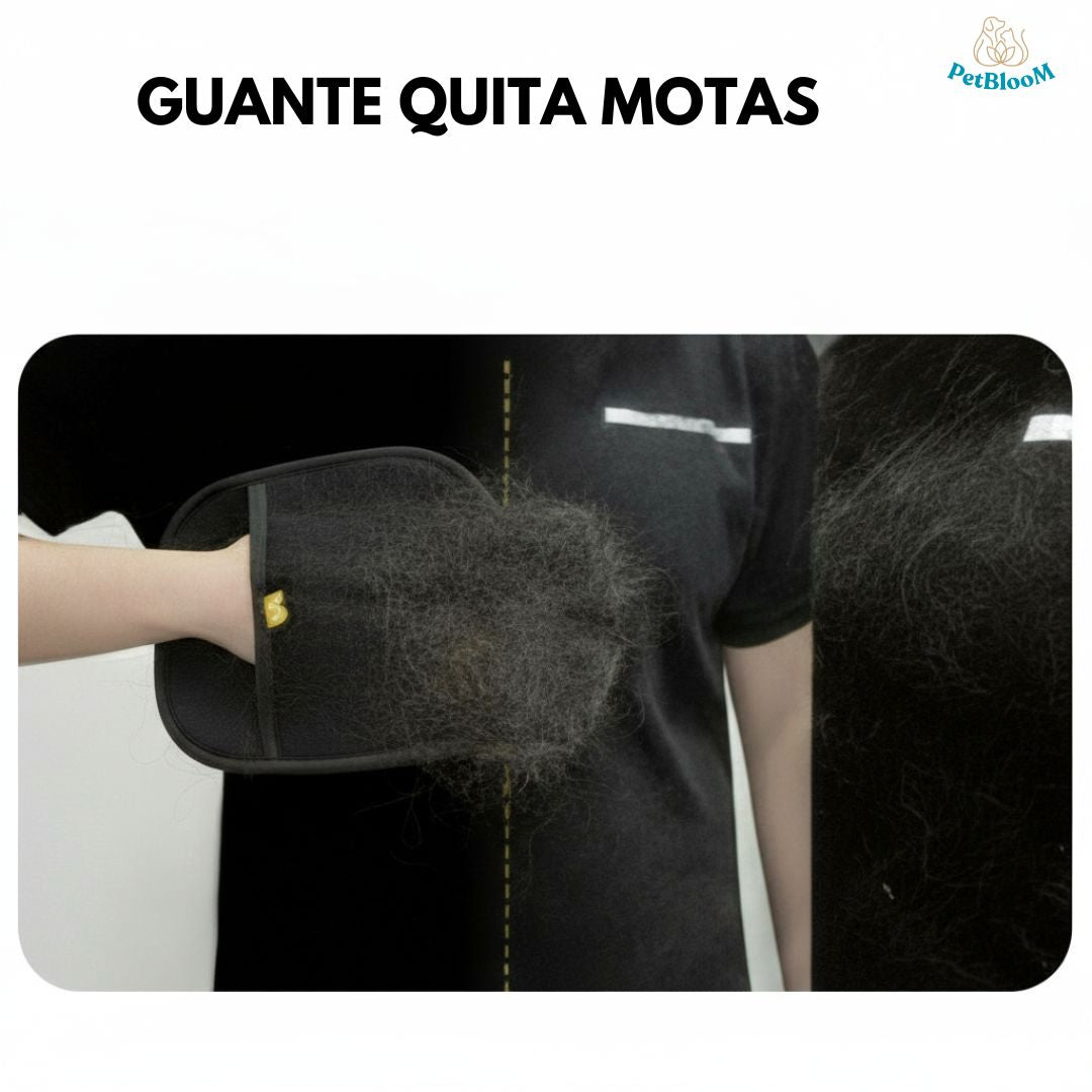 Kit - PetBloom ®
